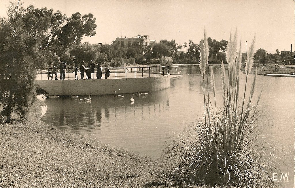 142-Le Jardin Municipal. Un coin du Lac.JPG